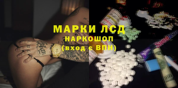 apvp Алзамай