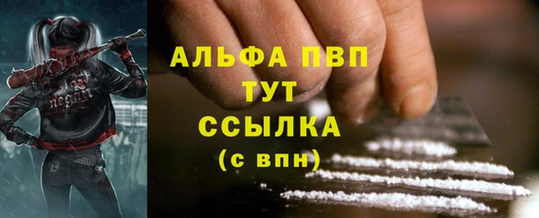 apvp Алзамай