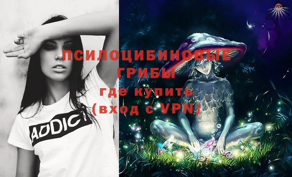 apvp Алзамай