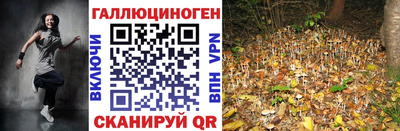 Псилоцибиновые грибы мицелий  Томск 